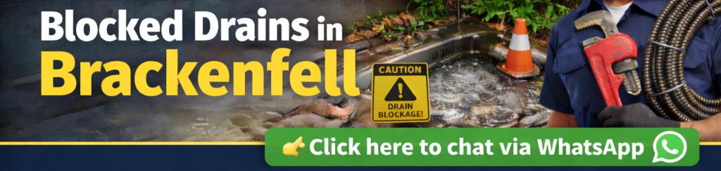 Blocked drains in Brackenfell with standing water in a shower drain